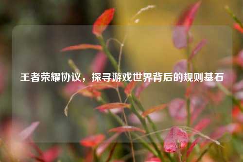王者荣耀协议,探寻游戏世界背后的规则基石