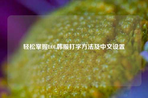 轻松掌握LOL韩服打字方法及中文设置