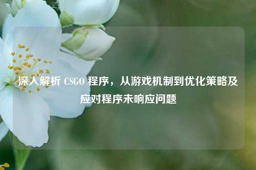 深入解析 CSGO 程序，从游戏机制到优化策略及应对程序未响应问题
