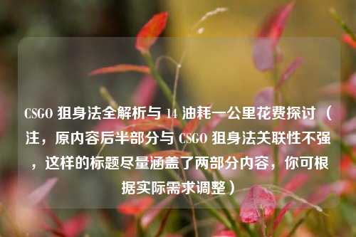 CSGO 狙身法全解析与 14 油耗一公里花费探讨 （注，原内容后半部分与 CSGO 狙身法关联性不强，这样的标题尽量涵盖了两部分内容，你可根据实际需求调整）