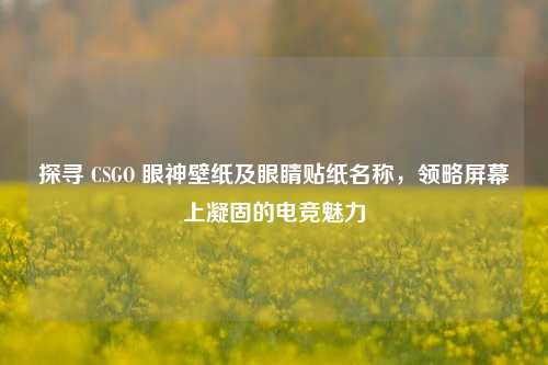 探寻 CSGO 眼神壁纸及眼睛贴纸名称，领略屏幕上凝固的电竞魅力