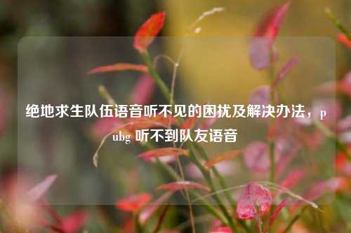 绝地求生队伍语音听不见的困扰及解决办法，pubg 听不到队友语音