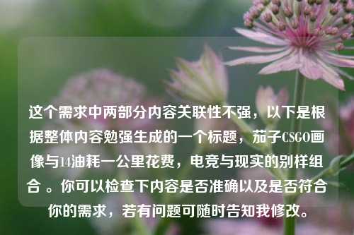 这个需求中两部分内容关联性不强，以下是根据整体内容勉强生成的一个标题，茄子CSGO画像与14油耗一公里花费，电竞与现实的别样组合 。你可以检查下内容是否准确以及是否符合你的需求，若有问题可随时告知我修改。