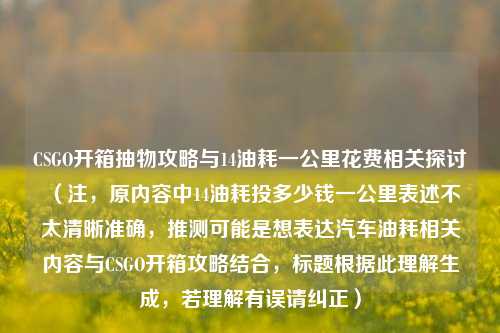 CSGO开箱抽物攻略与14油耗一公里花费相关探讨 （注，原内容中14油耗投多少钱一公里表述不太清晰准确，推测可能是想表达汽车油耗相关内容与CSGO开箱攻略结合，标题根据此理解生成，若理解有误请纠正）