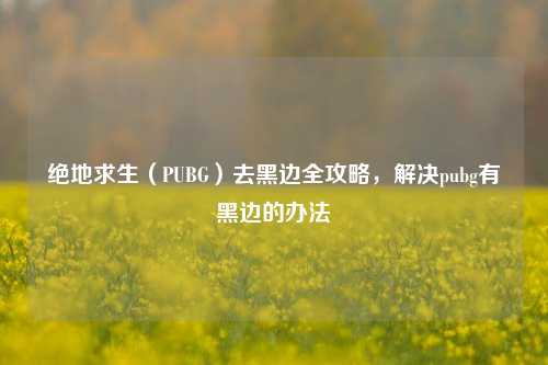 绝地求生（PUBG）去黑边全攻略，解决pubg有黑边的办法