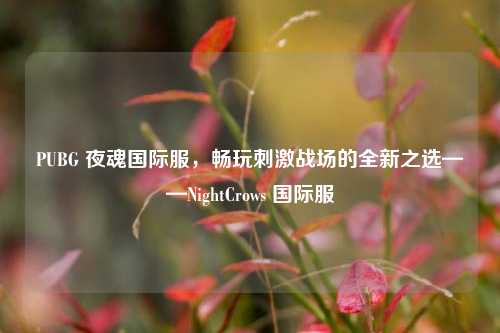 PUBG 夜魂国际服，畅玩刺激战场的全新之选——NightCrows 国际服