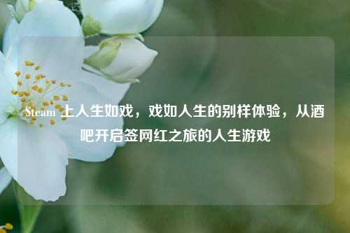 Steam 上人生如戏，戏如人生的别样体验，从酒吧开启签网红之旅的人生游戏