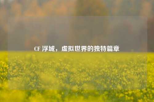 CF 浮城,虚拟世界的独特篇章