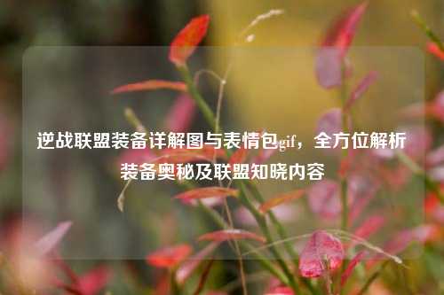 逆战联盟装备详解图与表情包gif，全方位解析装备奥秘及联盟知晓内容
