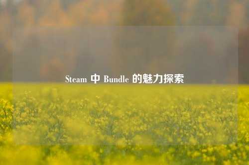 Steam 中 Bundle 的魅力探索