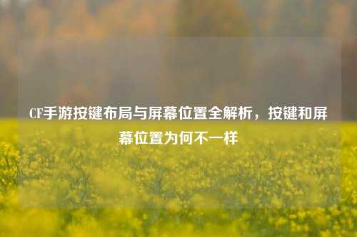 CF手游按键布局与屏幕位置全解析，按键和屏幕位置为何不一样