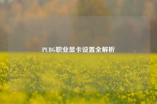 PUBG职业显卡设置全解析