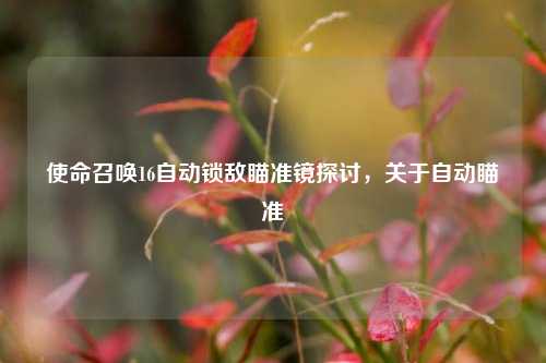 使命召唤16自动锁敌瞄准镜探讨，关于自动瞄准