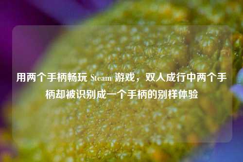 用两个手柄畅玩 Steam 游戏，双人成行中两个手柄却被识别成一个手柄的别样体验