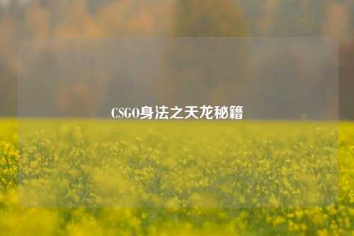 CSGO身法之天龙秘籍