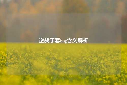 逆战手套bug含义解析