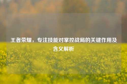 王者荣耀，专注技能对掌控战局的关键作用及含义解析