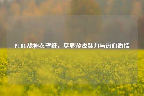 PUBG战神衣壁纸，尽显游戏魅力与热血激情