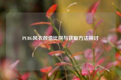 PUBG风衣颜值比拼与获取方法探讨