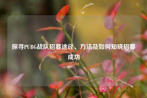 探寻PUBG战队招募途径、方法及如何知晓招募成功