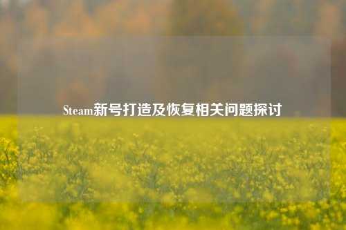 Steam新号打造及恢复相关问题探讨