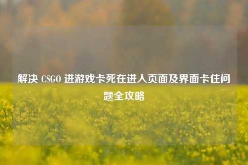 解决 CSGO 进游戏卡死在进入页面及界面卡住问题全攻略