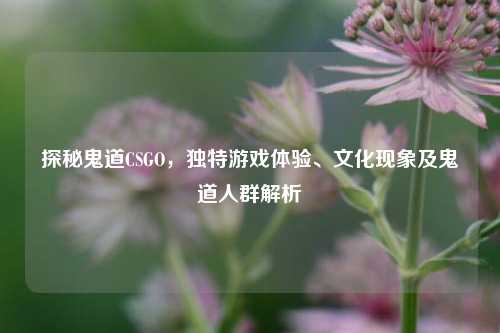 探秘鬼道CSGO，独特游戏体验、文化现象及鬼道人群解析