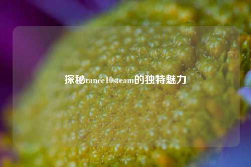 探秘rance10steam的独特魅力