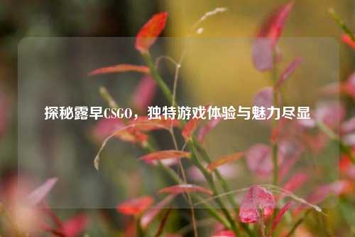 探秘露早CSGO，独特游戏体验与魅力尽显