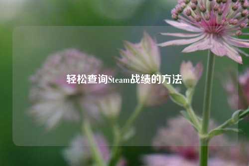轻松查询Steam战绩的方法