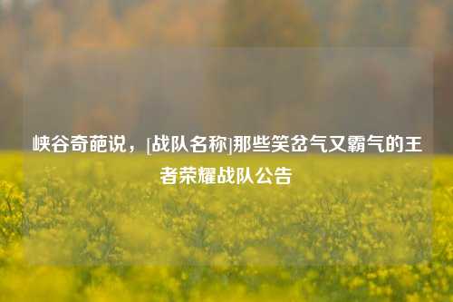 峡谷奇葩说，[战队名称]那些笑岔气又霸气的王者荣耀战队公告