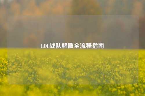 LOL战队解散全流程指南