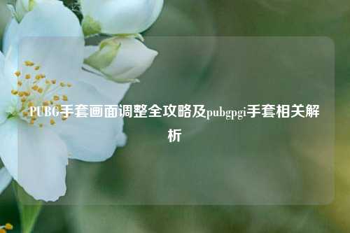 PUBG手套画面调整全攻略及pubgpgi手套相关解析