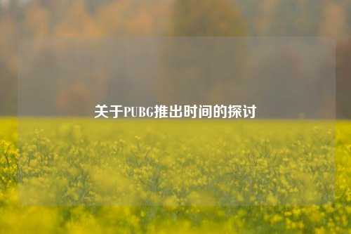 关于PUBG推出时间的探讨