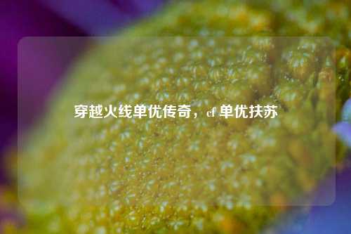 穿越火线单优传奇，cf 单优扶苏