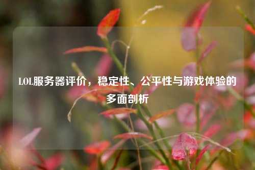 LOL服务器评价，稳定性、公平性与游戏体验的多面剖析