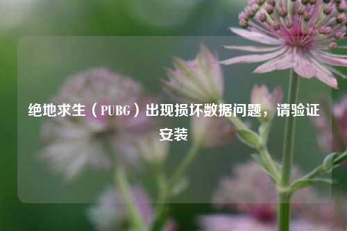绝地求生（PUBG）出现损坏数据问题，请验证安装