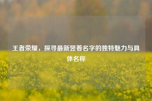 王者荣耀，探寻最新竖着名字的独特魅力与具体名称