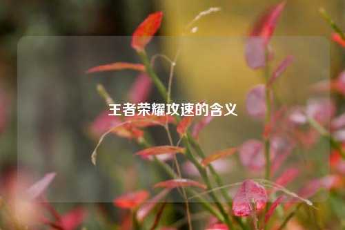 王者荣耀攻速的含义