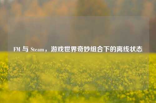 FM 与 Steam，游戏世界奇妙组合下的离线状态