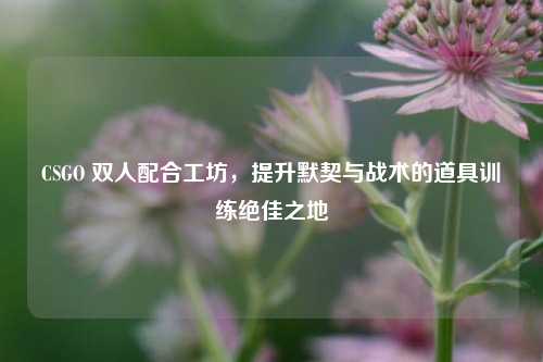 CSGO 双人配合工坊，提升默契与战术的道具训练绝佳之地