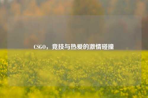 CSGO，竞技与热爱的激情碰撞