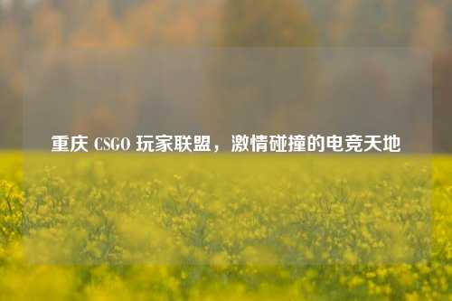 重庆 CSGO 玩家联盟，激情碰撞的电竞天地