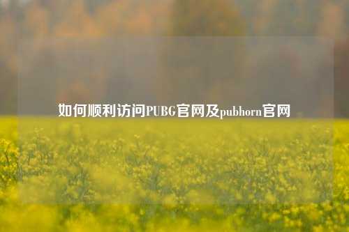 如何顺利访问PUBG官网及pubhorn官网