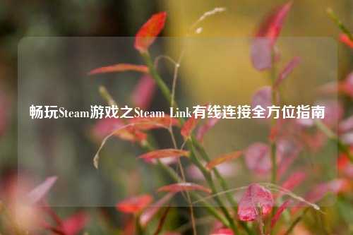 畅玩Steam游戏之Steam Link有线连接全方位指南