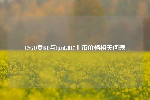 CSGO负KD与ipad2017上市价格相关问题