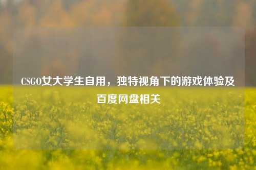 CSGO女大学生自用，独特视角下的游戏体验及百度网盘相关