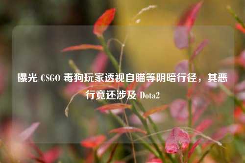 曝光 CSGO 毒狗玩家透视自瞄等阴暗行径，其恶行竟还涉及 Dota2
