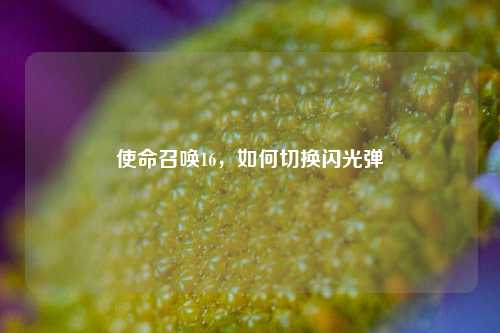 使命召唤16，如何切换闪光弹