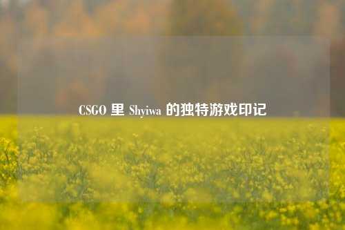 CSGO 里 Shyiwa 的独特游戏印记